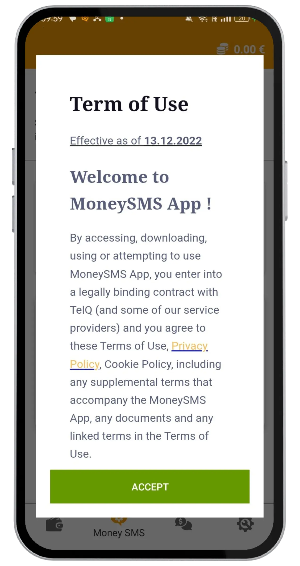 Schermata di accettazione dei Termini d'uso Money SMS